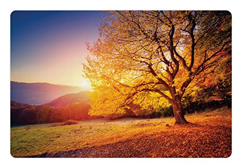 Lunarable Landscape Pet Mat for Food and Water, Tree on The Hill Slope with Sun Beams at Mountain Valley Dramatic Morning View, Rectangle Non-Slip Rubber Mat for Dogs and Cats, Orange Blue