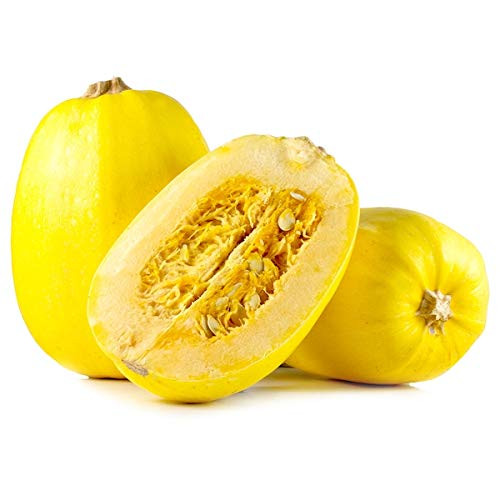 Vegetable Spaghetti Winter Squash Seeds, 25 Heirloom Seeds Per Packet, Non GMO Seeds