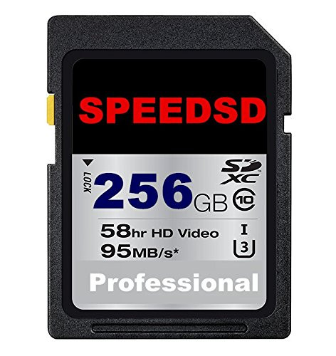 SPEEDSD 256GB SD Card Class 10 SDXC Memory Card UHS-I/U3 Flash Memory Card (A-256GB)