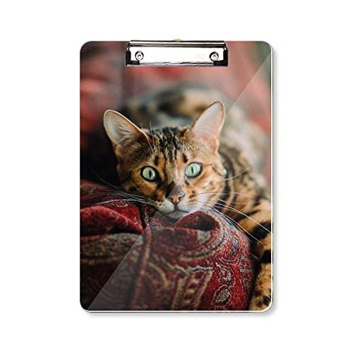 Animal Green Eye Cat Photograph Clipboard Folder Writing Pad Backing Plate A4