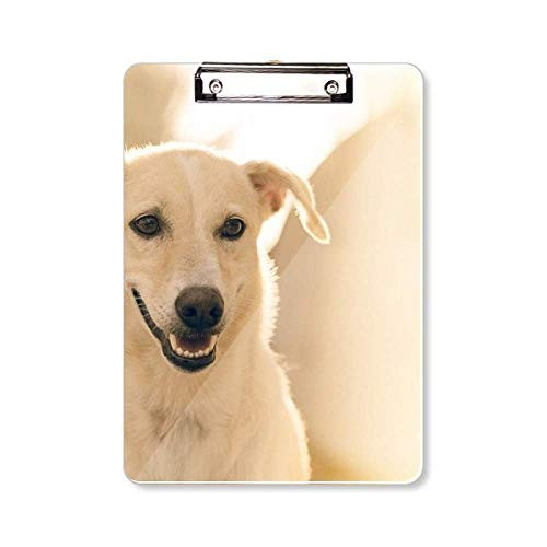 Smile White Dog Pet Picture Clipboard Folder Writing Pad Backing Plate A4