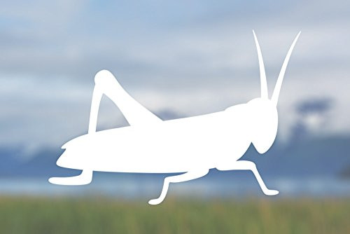 AK Wall Art Grasshopper Shape - Vinyl Decal - Car Truck Laptop - Select Size