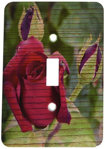 3dRose lsp_29456_1 Red Roses Wood Design Romantic Flowers Single Toggle Switch