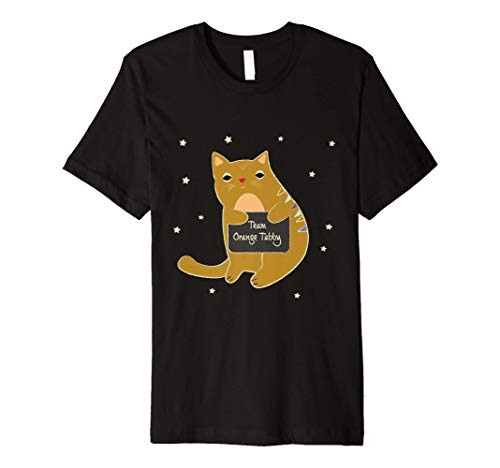 Tabby Cat Lovers Cat Holds Chalk Board: Team Orange Tabby Premium T-Shirt