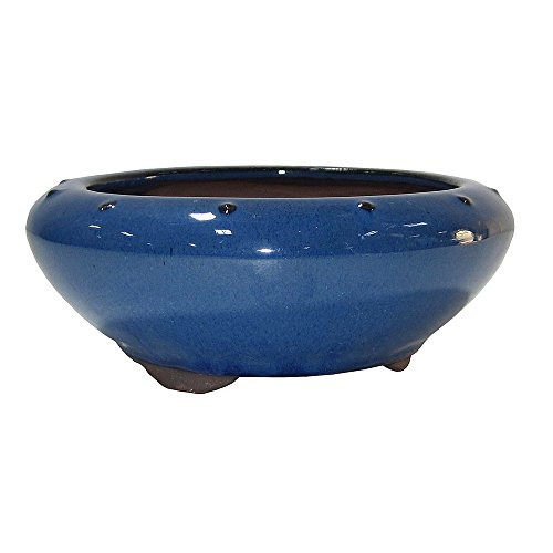 Brussel's 6" Round Bonsai Glazed Ceramic Pot (Small, Blue)