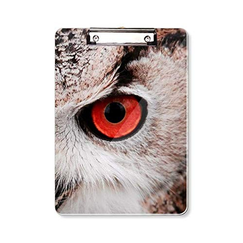 Pcture Terrestrial Organism Animal Owl Clipboard Folder Writing Pad Backing Plate A4
