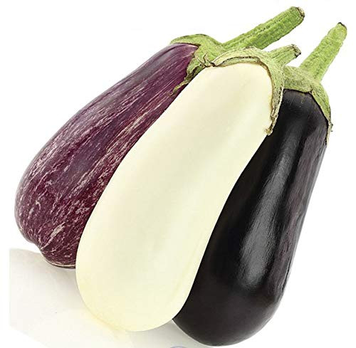 NIKA SEEDS - Vegetable Eggplant Long Mix - 10-20 Seeds