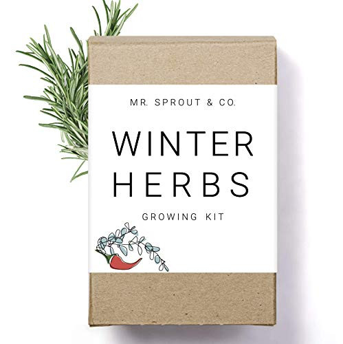 Winter Indoor Garden Kit - Herb Garden Seed Starter Kit for Gardening Indoors - Plant Grow Kit with Sage Rosemary Seeds and Hot Pepper Seeds for Planting - Growing Fresh Kitchen Herbs - By Mr Sprout