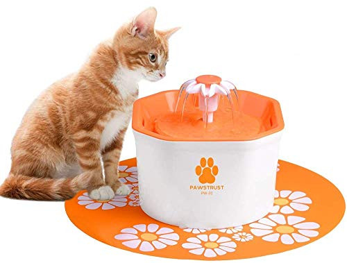Cat Water Fountain, 1.6L Pet Fountain Automatic Pet Water Filter Dispenser with Silicone Mat, Super Quiet, Healthy and Hygienic Drinking Bowl for Cats, Dogs, Multiple Pets (Orange) Cat Water Fountain, 1.6L Pet Fountain Automatic Pet Water Filter Dispenser with Silicone Mat, Super Quiet, Healthy and Hygienic Drinking Bowl for Cats, Dogs, Multiple Pets (Orange)