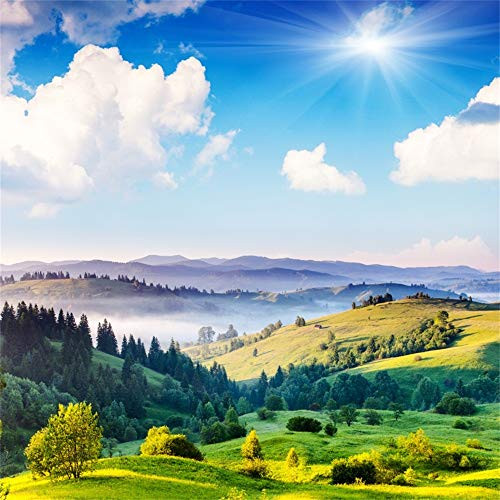 LFEEY 5x5ft Country Scene Backdrop Village Hillside Farmland Meadow Field Rural Scenery Mountain Slope Forest Landscape Photography Background for Parties Videos Travel Photo Studio Props LFEEY 5x5ft Country Scene Backdrop Village Hillside Farmland Meadow Field Rural Scenery Mountain Slope Forest Landscape Photography Background for Parties Videos Travel Photo Studio Props