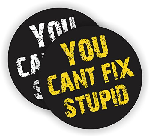 You Can't Fix Stupid Hard Hat Sticker / Helmet Decal / Label Lunch Tool Box Motorcycle