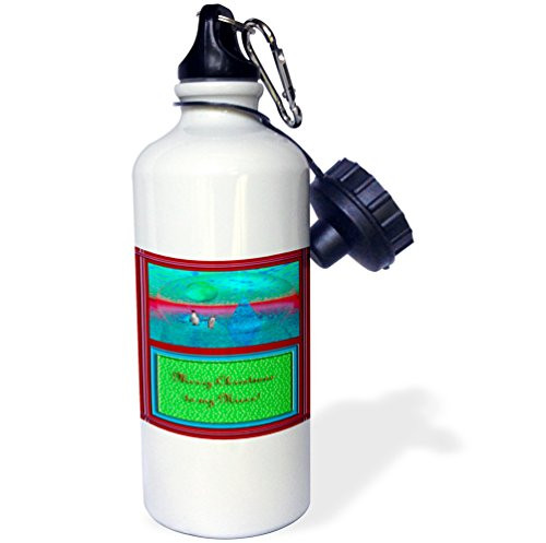 3dRose "Penguinland 3d Merry Christmas to my Niece" Sports Water Bottle, 21 oz, White
