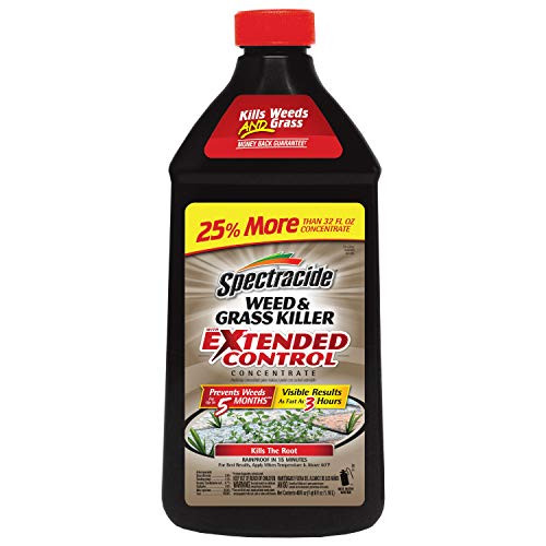 Spectracide Weed  and  Grass Killer With Extended Control Concentrate, 40-Ounce