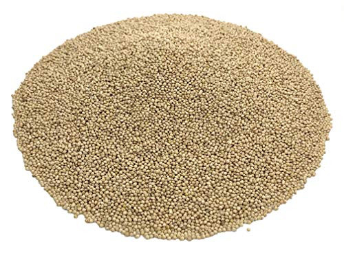 White Proso Millet Seed Bird Feed 10lb Bulk Bag