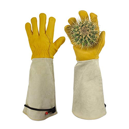 GLOSAV Gardening Gloves Thorn Proof for Rose Pruning  and  Cactus Trimming, Long Leather Garden Gloves for Women  and  Men (XL)