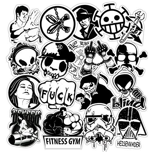 LIN LANG Laptop Stickers Car Stickers Motorcycle Bicycle Luggage Decal Graffiti Patches Skateboard Stickers for Laptop - No-Duplicate Sticker Pack (A)
