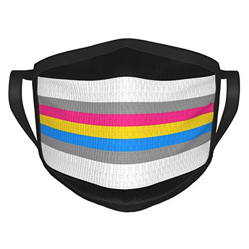 Adult Face Mask Gray Pan Pride Flag LGBTQ Dust Masks Reusable Balaclava for Outdoor