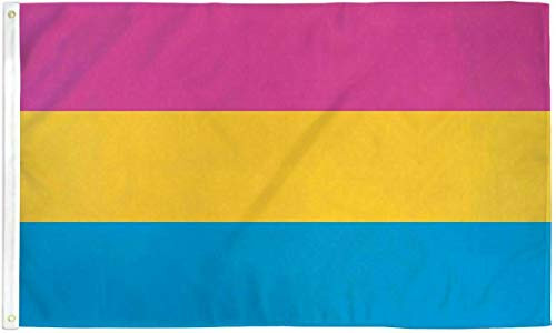 JumpingLight 2x3 Pansexual Rainbow Pride Flag 2x3ft with Grommets LGBTQIA Pride - Pan Pride - Quality Flags