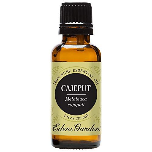 Edens Garden Cajeput Essential Oil, 100 percent Pure Therapeutic Grade (Cold Flu and Congestion) 30 ml Edens Garden Cajeput Essential Oil, 100 percent Pure Therapeutic Grade (Cold Flu and Congestion) 30 ml