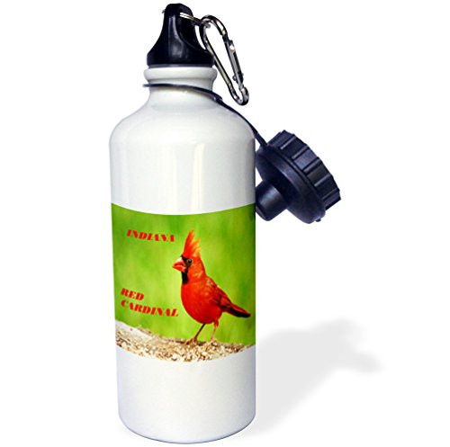 3dRose wb_50935_1"State Bird of Indiana Red Cardinal" Sports Water Bottle, 21 oz, White