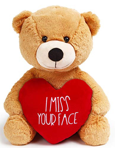 Teddy Bear Girlfriend  Miss Your Face 12 Inch Plush  Valentines Teddy Bear Gift for Long Distance Gifts, Boyfriend, Miss You Stuffed Animal, Heart by JENVIO