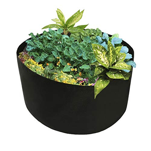 Toyfun 150 Gallon Grow Bags Extra Large Fabric Raised Planting Bed Round Raised Planter Garden Bed Bag Durable Felt Fabric Planter Pot for Herb Flower Vegetable Plants Toyfun 150 Gallon Grow Bags Extra Large Fabric Raised Planting Bed Round Raised Planter Garden Bed Bag Durable Felt Fabric Planter Pot for Herb Flower Vegetable Plants