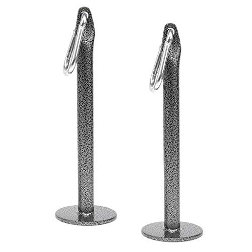 lahomia 2 Pieces Solid Weight Plate Loading Pin 23cm Holder Stand Rack with Carabiner