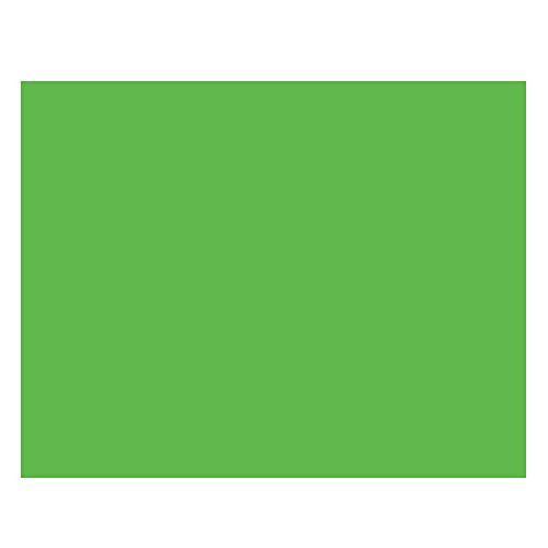 ArtSkills Poster Board, 22 x 28 Inches, Pack of 25, Neon Green (PA-1547)