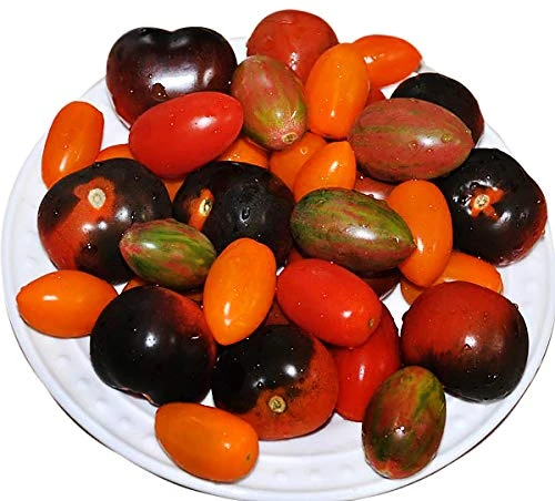 Please Read! This is A Mix!!! 30+ ORGANICALLY Grown Cherry Tomato Mix Seeds 10 Varieties Heirloom Non-GMO, Black, Lucky Tiger, Yellow Red Pear, from USA