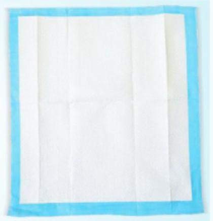 Extrasorbs Drypad Underpads Maximum Absorbency Disposable Air Permeable for Adult, Kids or Baby 30 x 36 inches (PK/20)
