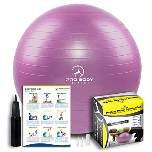 ProBody Pilates Exercise Ball - Professional Grade Anti-Burst Fitness, Balance Ball for Yoga, Birthing, Stability Gym Workout Training and Physical Therapy - Work Out Guide Included (Purple, 65 cm)