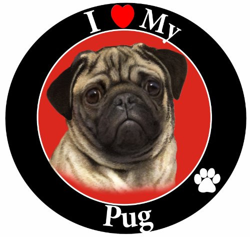 E&S Pets Car Magnet, Pug