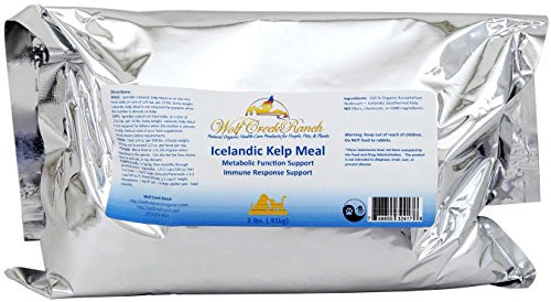 Wolf Creek Ranch Icelandic Kelp Meal - Loaded with Nutrients That Support Your Livestock Or Pet  and  A Natural Seaweed Fertilizer for Plants Icelandic Kelp Meal, 2lbs