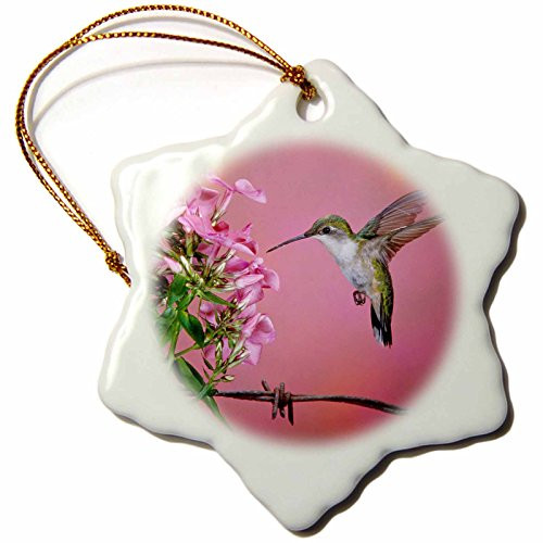 3dRose"Ruby Throated Hummingbird Female at Garden Phlox Snowflake Ornament 3"