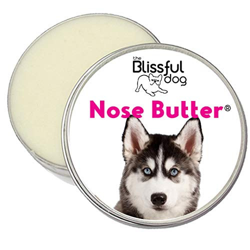 The Blissful Dog Husky Nose Butter - Dog Nose Butter, 8 Ounce