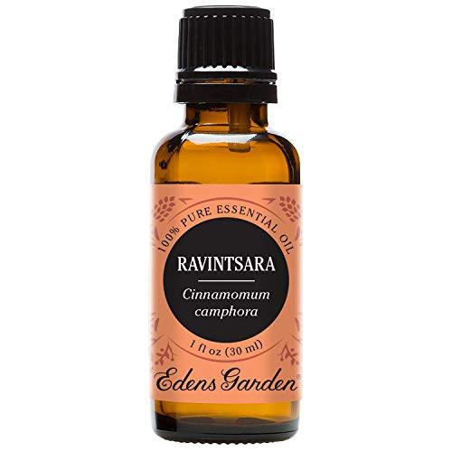 Edens Garden Ravintsara Essential Oil, 100 percent Pure Therapeutic Grade (Congestion and Inflammation) 30 ml Edens Garden Ravintsara Essential Oil, 100 percent Pure Therapeutic Grade (Congestion and Inflammation) 30 ml
