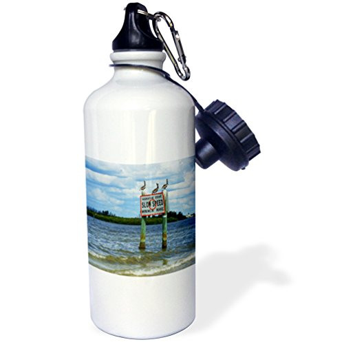 3dRose wb_44850_1"3 Pelicans On Manatee Sign" Sports Water Bottle, 21 oz, White