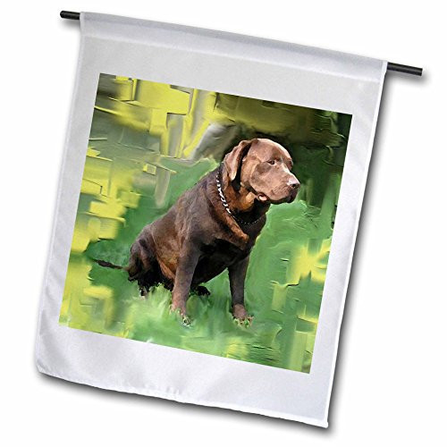 3dRose Dogs Labrador Retriever - Chocolate Labrador Retriever - 12 x 18 inch Garden Flag (fl_3987_1)