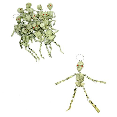 Rhode Island Novelty Skeleton Keychains - Pack of 12 Rhode Island Novelty Skeleton Keychains - Pack of 12
