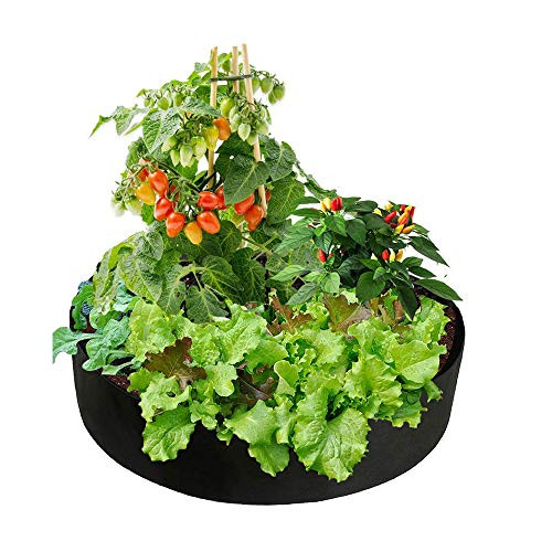 Miweel 100 GallonLarge Fabric Raised Planting Bed Plant Growing Bags,Round Garden Raised Beds Breathable Planting Bed Planter Grow Bag Planter Pot for Herb Flower Vegetable Plants Miweel 100 GallonLarge Fabric Raised Planting Bed Plant Growing Bags,Round Garden Raised Beds Breathable Planting Bed Planter Grow Bag Planter Pot for Herb Flower Vegetable Plants
