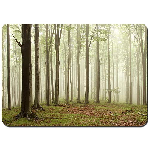 Non-Slip Bath Mats,Beech Trees in The Forest on a Mountain Slope on a Foggy Rainy Day,Soft Plush Rug Living Room Bedroom Floor Shower Entrance Carpet Pet Mat 29.5" x 17.5" Non-Slip Bath Mats,Beech Trees in The Forest on a Mountain Slope on a Foggy Rainy Day,Soft Plush Rug Living Room Bedroom Floor Shower Entrance Carpet Pet Mat 29.5" x 17.5"