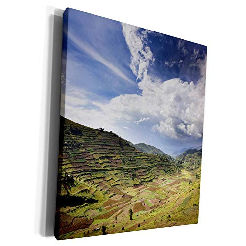 3dRose Danita Delimont - Farms - Farmed slopes, Kisoro, Kigezi, Uganda - AF48 MZW0224 - Martin Zwick - Museum Grade Canvas Wrap (cw_132203_1) 3dRose Danita Delimont - Farms - Farmed slopes, Kisoro, Kigezi, Uganda - AF48 MZW0224 - Martin Zwick - Museum Grade Canvas Wrap (cw_132203_1)