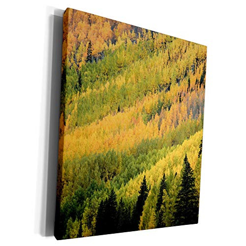 3dRose Danita Delimont - Forests - Autumn, aspen trees on mountain slope, Crystal Lake, Ouray, Colorado - Museum Grade Canvas Wrap (cw_278682_1) 3dRose Danita Delimont - Forests - Autumn, aspen trees on mountain slope, Crystal Lake, Ouray, Colorado - Museum Grade Canvas Wrap (cw_278682_1)