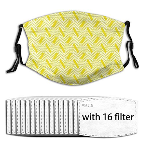 Comfortable Activated carbon,Ethnic Fashion Pattern Design With Chevron Herringbone And Diagonal Short Lines,Printed Facial decorations for adult (Filters 16pc)