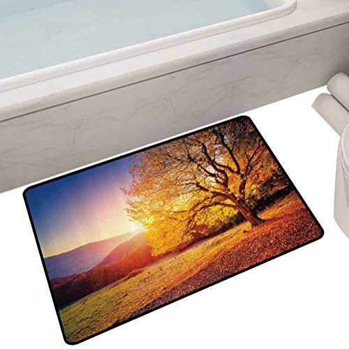 Floor Entrance Rug Tree on Hill Slope with Sun Beams at Mountain Valley Dramatic Morning View,24"X16" Rectangle Floor mats