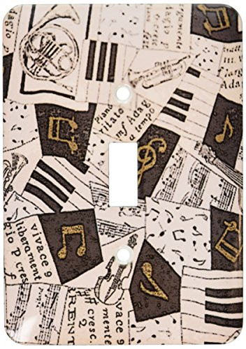 3dRose LLC lsp_64876_1 A Curtain Made Of Musical Cloth Shot Up Close Single Toggle Switch