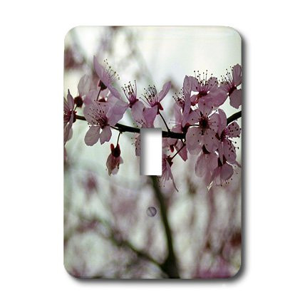 3dRose lsp_47704_1 Delicate Pink Cherry Blossom Flowers Toggle switch