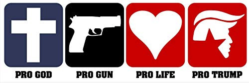 Pro God Pro Life Pro Gun Pro Trump 8.8" x 3" Sticker for Car Decal Truck Window Laptop Auto Vinyl Motorcycle Helmet