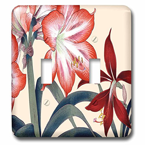 3dRose lsp_171388_2 Amaryllis Flowers In Peach And Dark Red With Yellow Stamens Toggle switch Multicolor