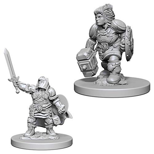 D and D Nolzurs Marvelous Unpainted Miniatures: Wave 3: Dwarf Female Paladin